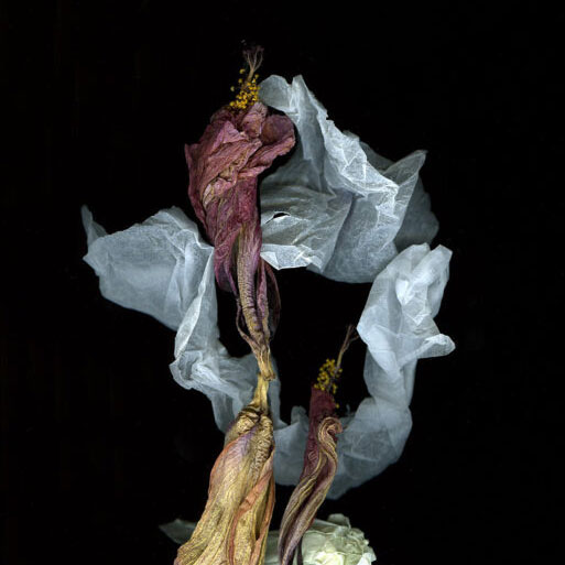 Pierre Texier