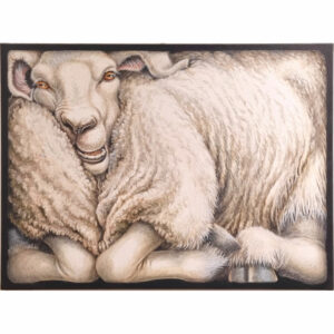 Mouton coincé