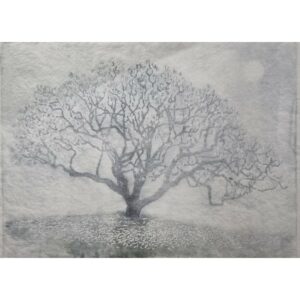 Magnolias brouillard